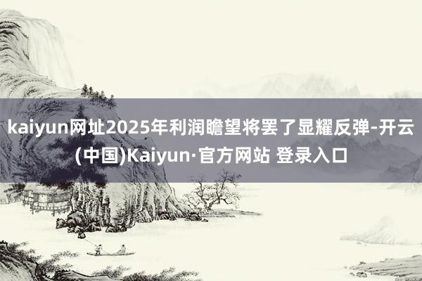 kaiyun网址2025年利润瞻望将罢了显耀反弹-开云(中国)Kaiyun·官方网站 登录入口