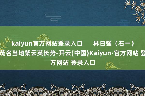 kaiyun官方网站登录入口      林日强（右一）不雅察茂名当地紫云英长势-开云(中国)Kaiyun·官方网站 登录入口
