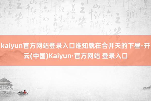 kaiyun官方网站登录入口谁知就在合并天的下昼-开云(中国)Kaiyun·官方网站 登录入口