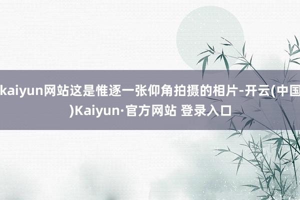 kaiyun网站这是惟逐一张仰角拍摄的相片-开云(中国)Kaiyun·官方网站 登录入口