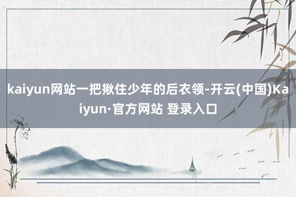 kaiyun网站一把揪住少年的后衣领-开云(中国)Kaiyun·官方网站 登录入口
