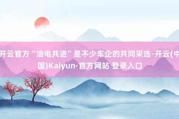 开云官方“油电共进”是不少车企的共同采选-开云(中国)Kaiyun·官方网站 登录入口